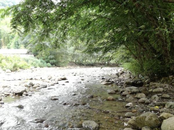  طبیعت زیبای ایران