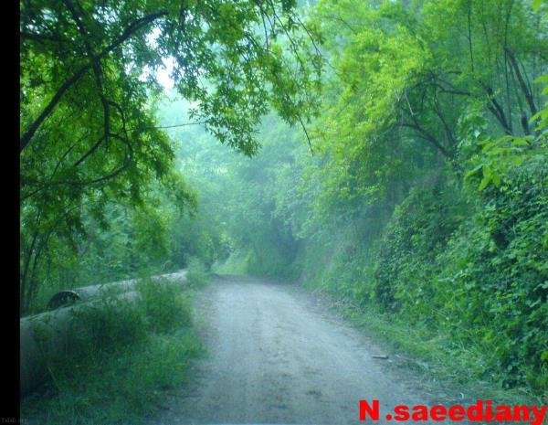  طبیعت زیبای ایران