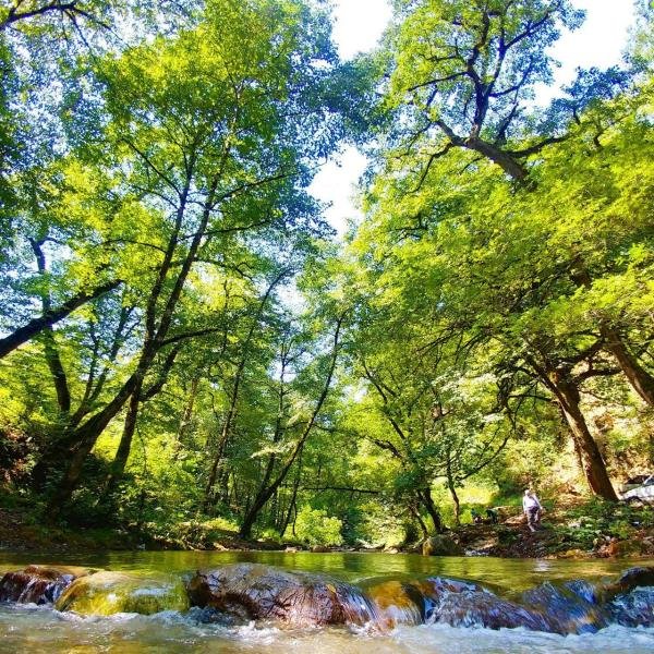  طبیعت زیبای ایران