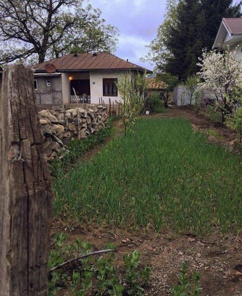  طبیعت زیبای ایران