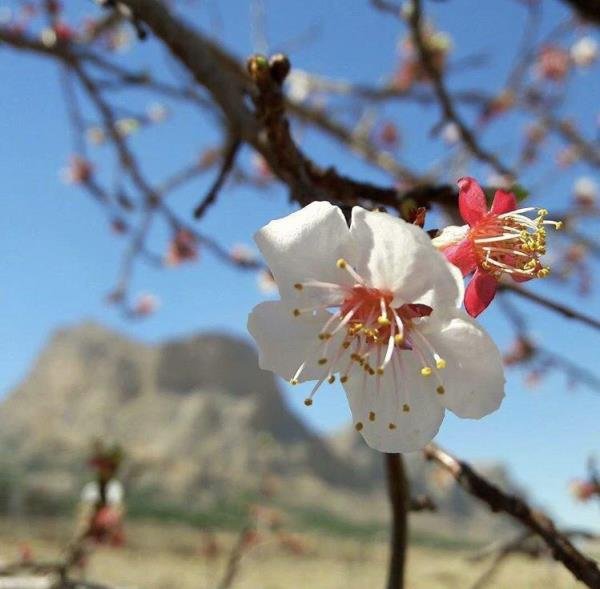  عکس طبیعت ایران واقعی