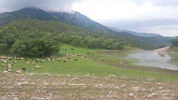  عکس طبیعت ایران واقعی