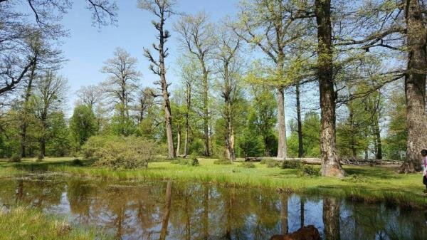  عکس طبیعت ایران واقعی