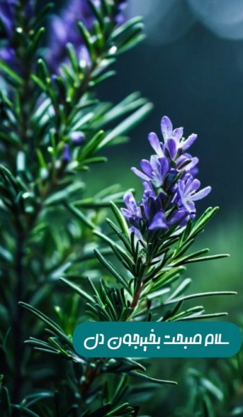 عکس صبح بخیر فانتزی