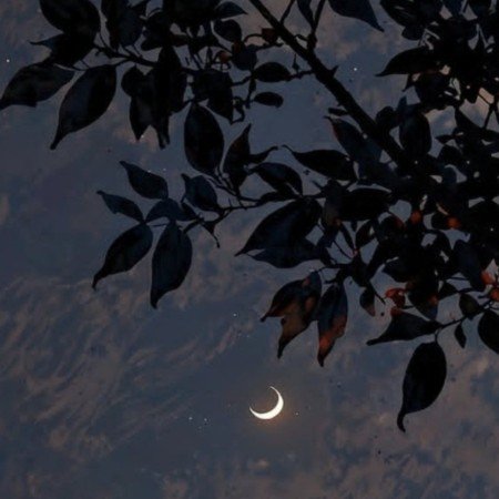 عکس صبح بخیر فانتزی