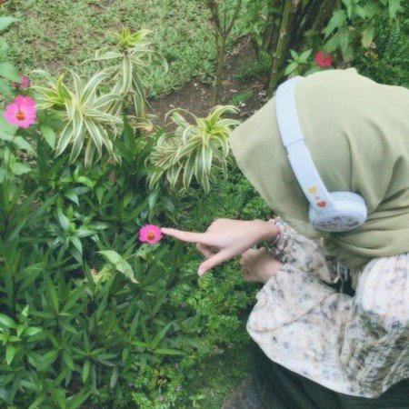  عکس های وایب طبیعت