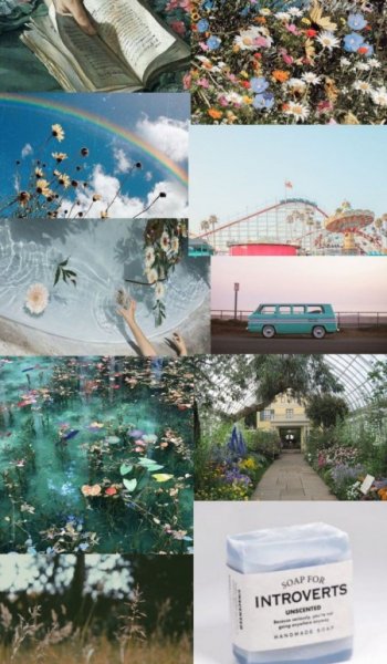  عکس های وایب طبیعت