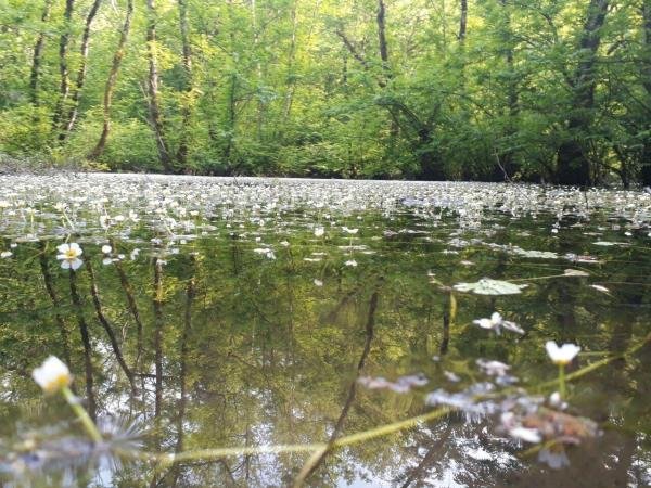  والپیپر ایران 4k