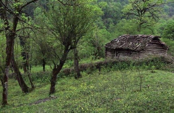  والپیپر ایران 4k