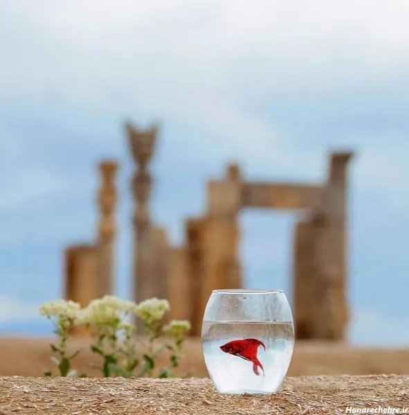  عکس تخت جمشید برای تصویر زمینه