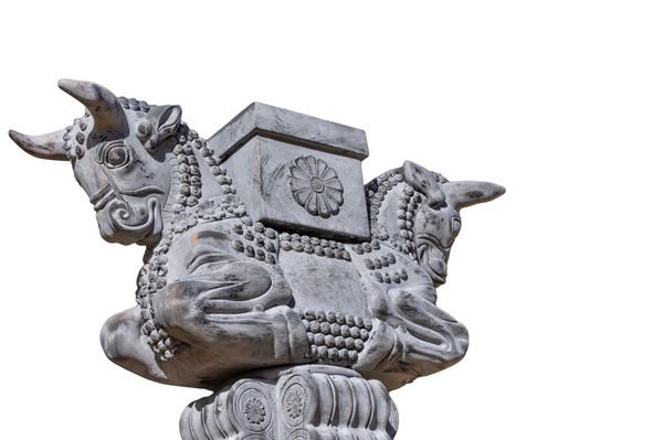  زیباترین عکس تخت جمشید