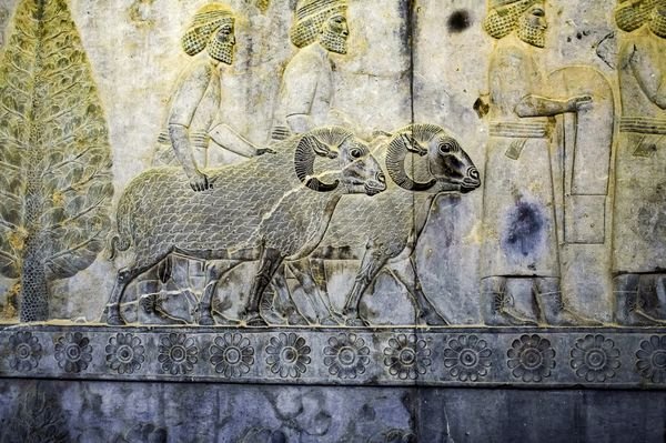  عکس تخت جمشید با کیفیت بالا