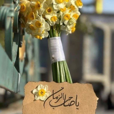  عکس کوروش کبیر برای تصویر زمینه