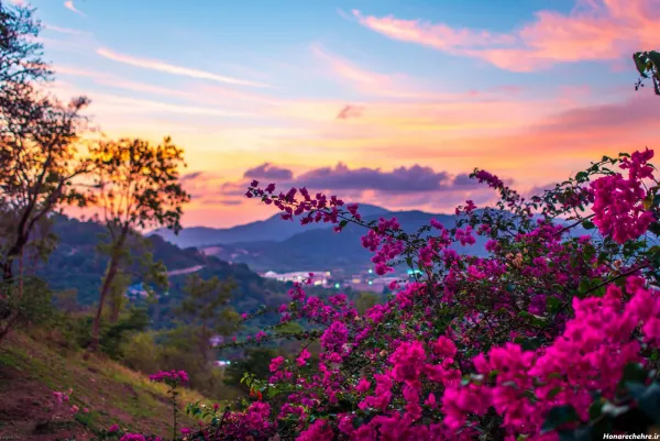  عکس طبیعت 8k