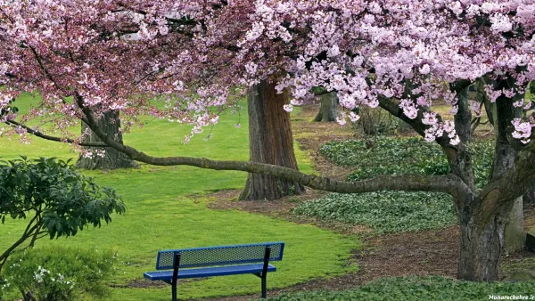  عکس طبیعت 8k