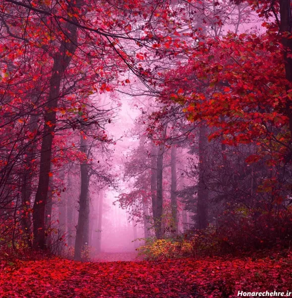  عکس طبیعت 8k