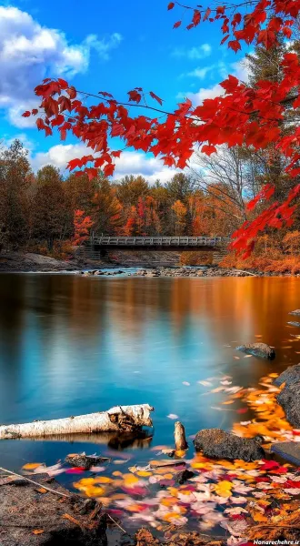  دانلود تصاویر 4k طبیعت