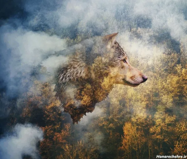  100 عکس حیوانات