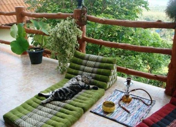  عکس حیوانات بامزه و خنده دار