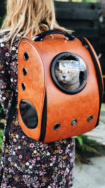  والپيپر حيوانات