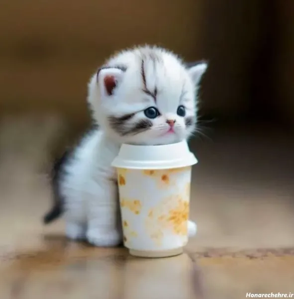  پس زمینه حیوانات فانتزی