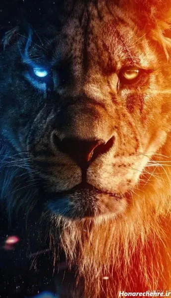  عکس پس زمینه حیوانات وحشی