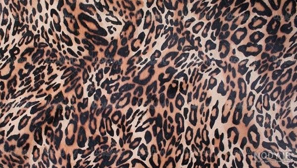  تصویر زمینه پلنگی خفن