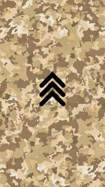  پس زمینه پلنگی نظامی