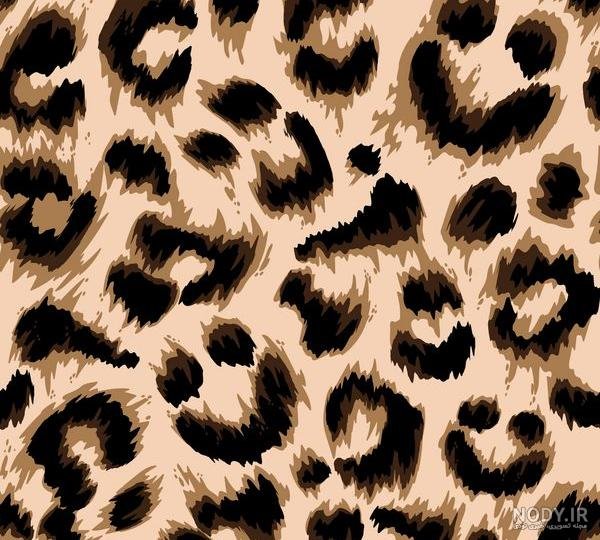 عکس پلنگی صورتی