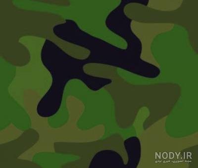 عکس پلنگی صورتی