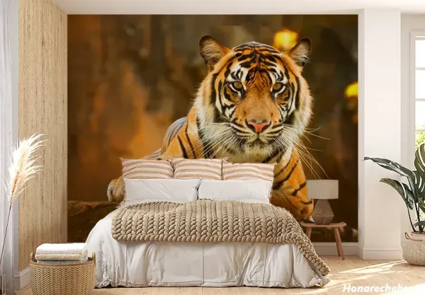  عکس ببر مازندران