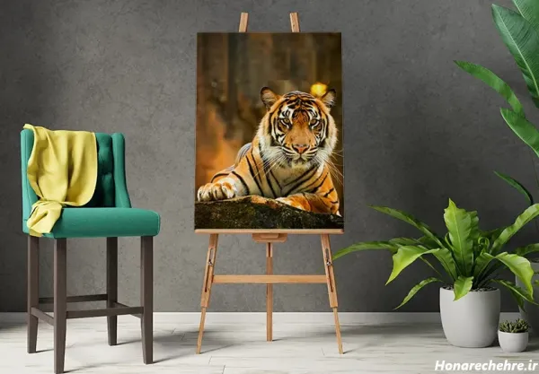  عکس ببر مازندران