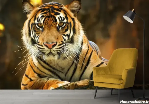  عکس ببر مازندران