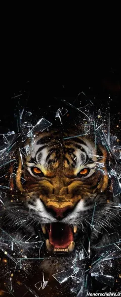  عکس پلنگ برای تصویر زمینه