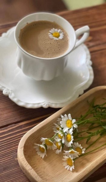  بک گراند قهوه ای