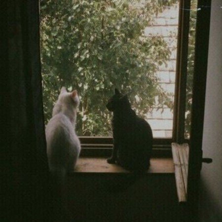  بک گراند قهوه ای عاشقانه