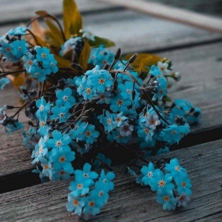  بک گراند قهوه ای عاشقانه