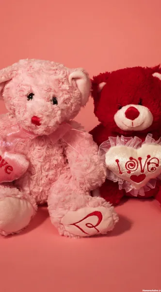  عکس کیوت خرس قهوه ای