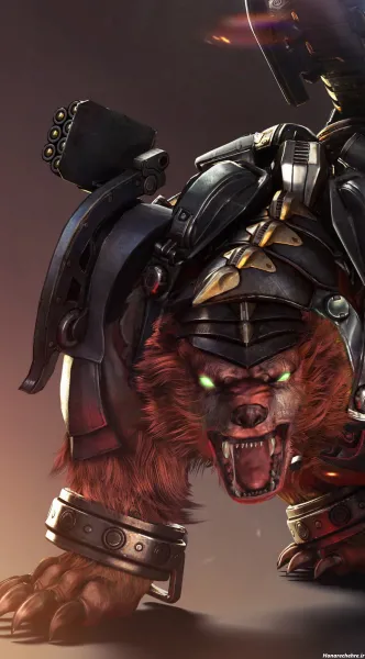  عکس کیوت خرس قهوه ای