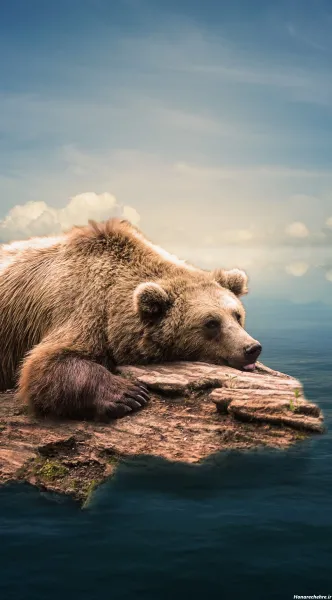 عکس خرس قهوه ای فانتزی