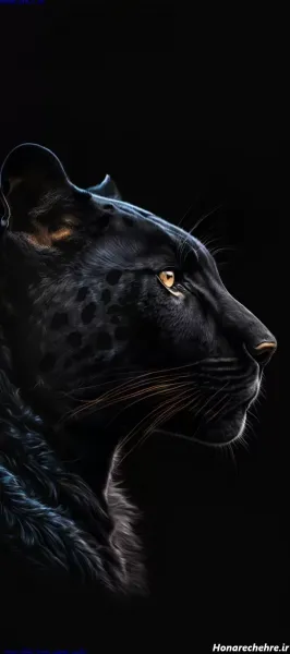  عکس پلنگ سیاه و سفید