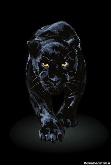  عکس جگوار سیاه