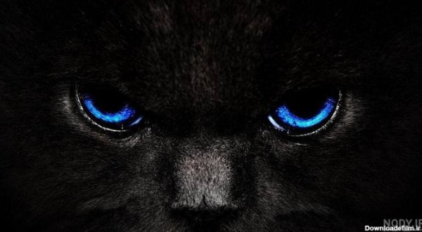  عکس جگوار سیاه