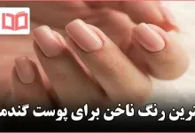  طرح ناخن پلنگی طلایی