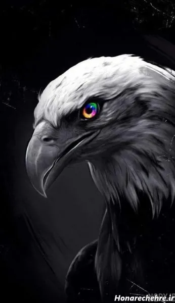  والپیپر حیوانات