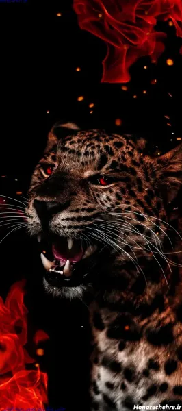  والپیپر حیوانات