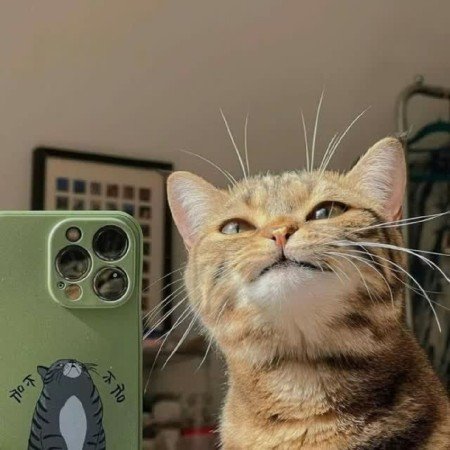 عکس حیوانات وحشی و اهلی