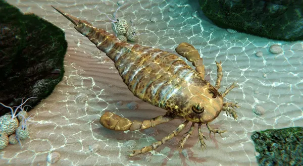  عکس حیوانات بزرگ