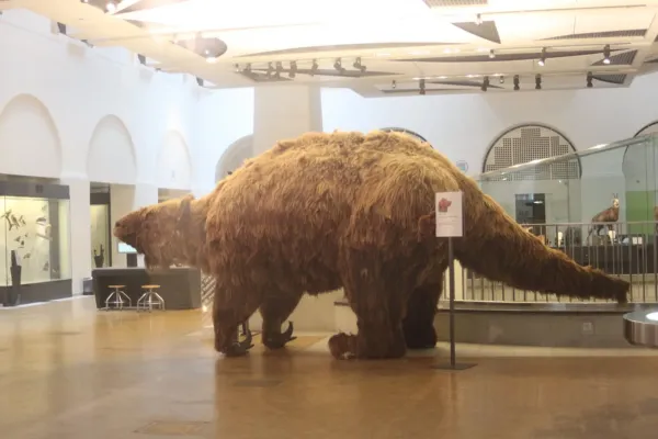  ۱۰ تا از بزرگترین حیوانات جهان