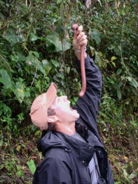  عکس بزرگترین غول واقعی جهان